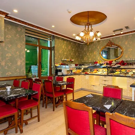 Nil Center * Istanbul